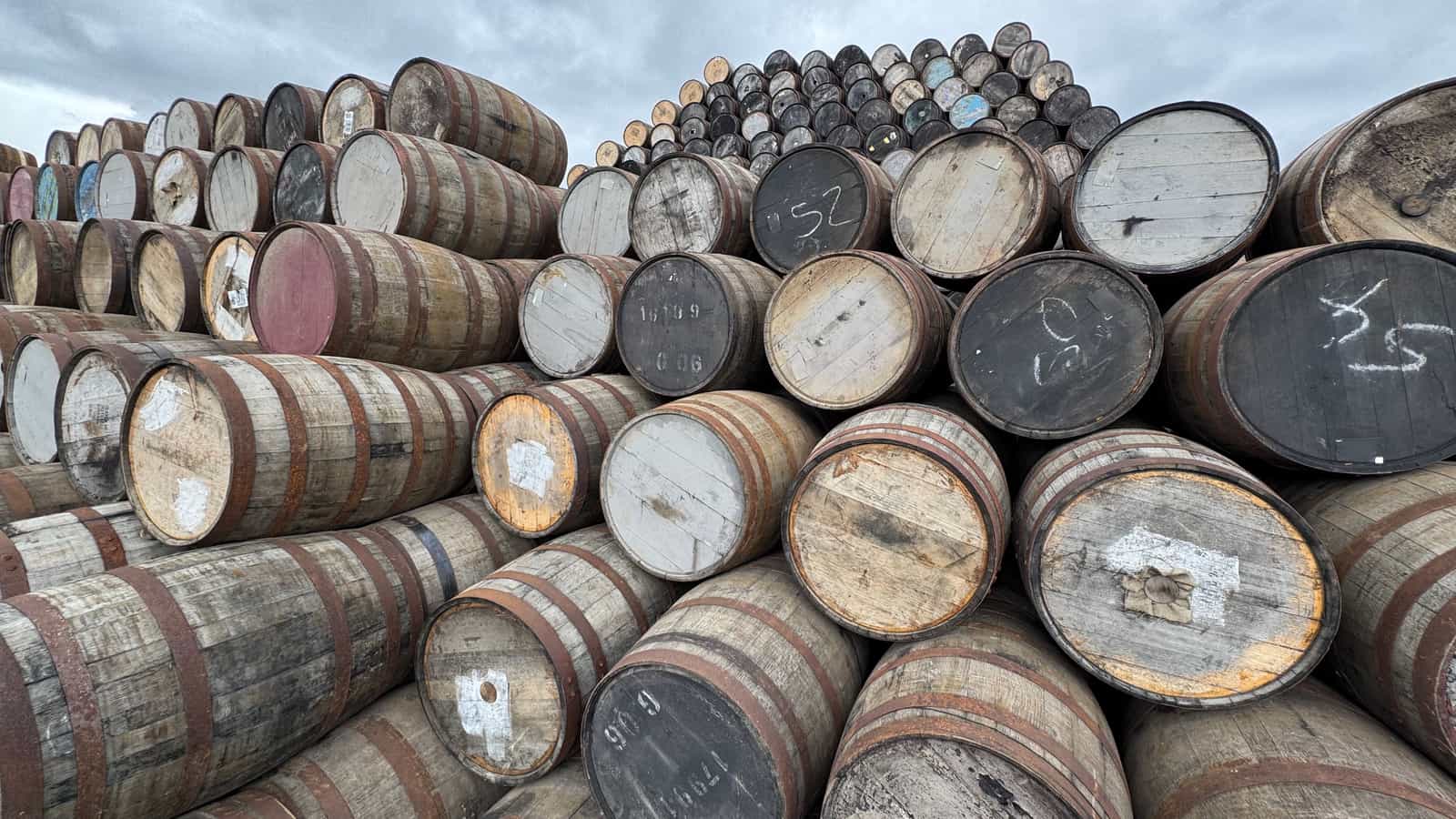 Oak barrels stacked in a warehouse